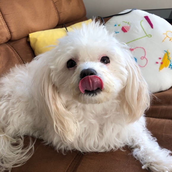 Meet your Posher, Sarah - Picture 2 of 2